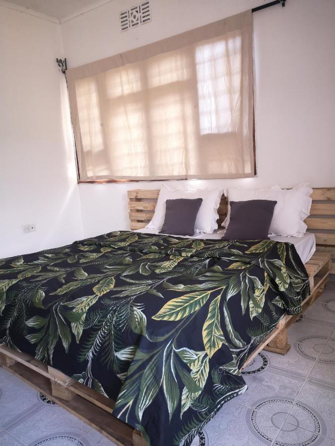 Bed and Breakfast Safari Adventures-House Arusza Zewnętrze zdjęcie