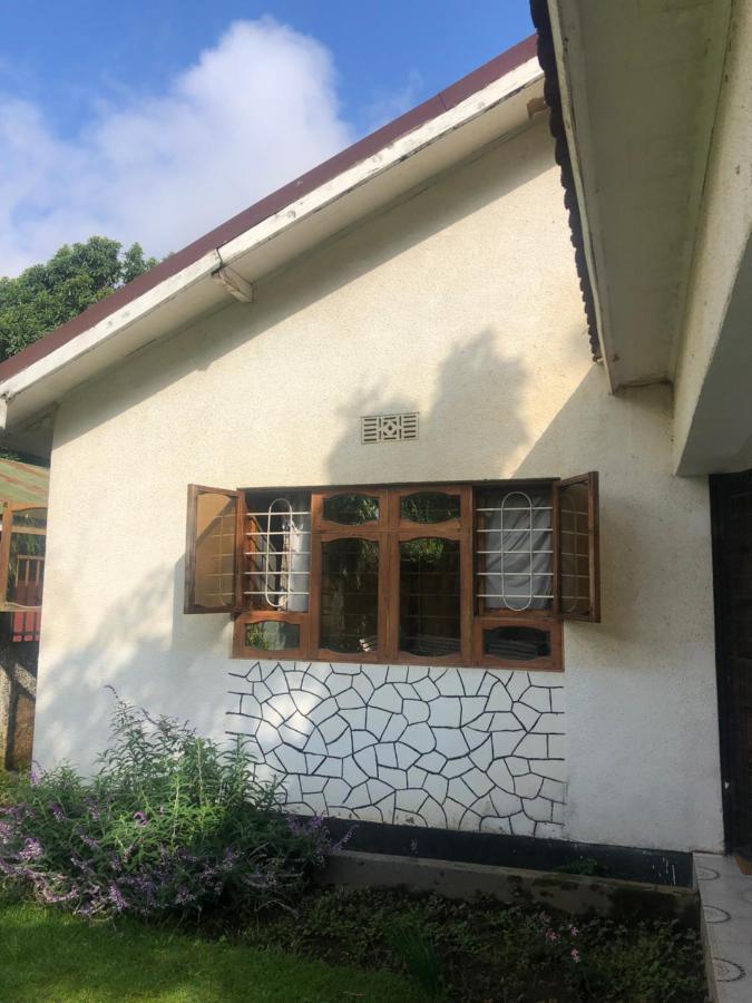 Bed and Breakfast Safari Adventures-House Arusza Zewnętrze zdjęcie