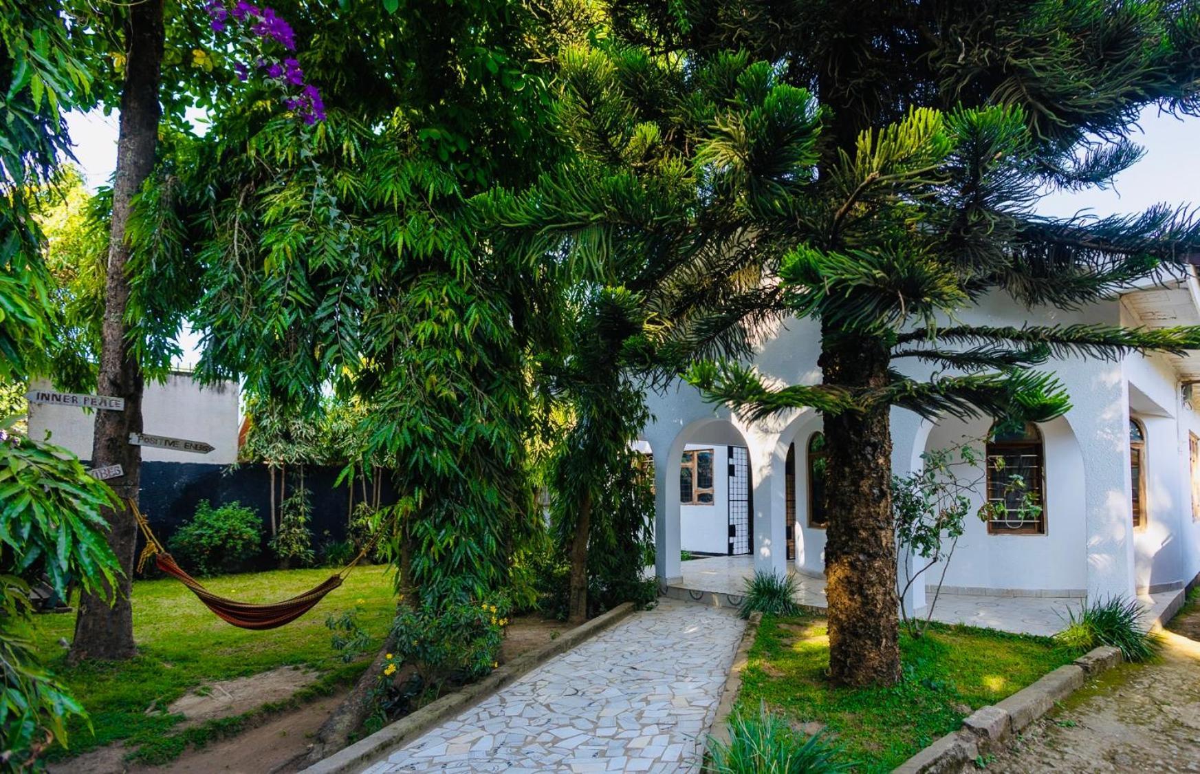 Bed and Breakfast Safari Adventures-House Arusza Zewnętrze zdjęcie